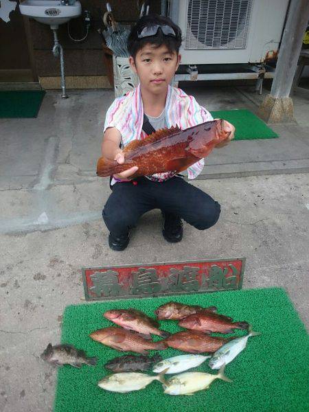 幕島丸 釣果