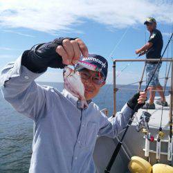 ありもと丸 釣果