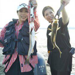 アマテラス 釣果