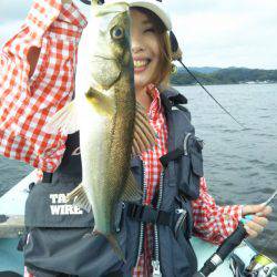 アマテラス 釣果