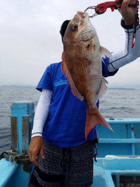 みやけ丸 釣果