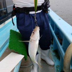 みやけ丸 釣果