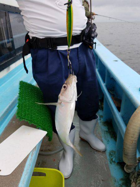 みやけ丸 釣果