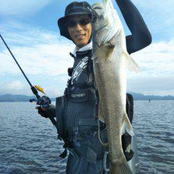 アマテラス 釣果