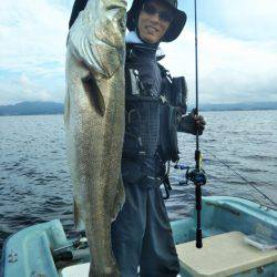 アマテラス 釣果