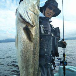 アマテラス 釣果