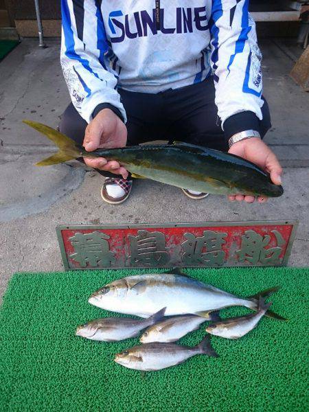 幕島丸 釣果