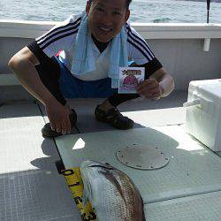 タイラバ遊漁船 ワンピース 釣果