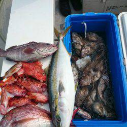 エンペラー 釣果