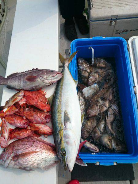 エンペラー 釣果