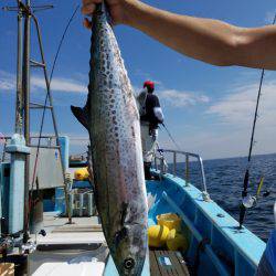 みやけ丸 釣果