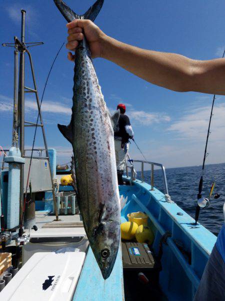 みやけ丸 釣果