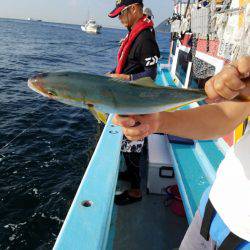 みやけ丸 釣果