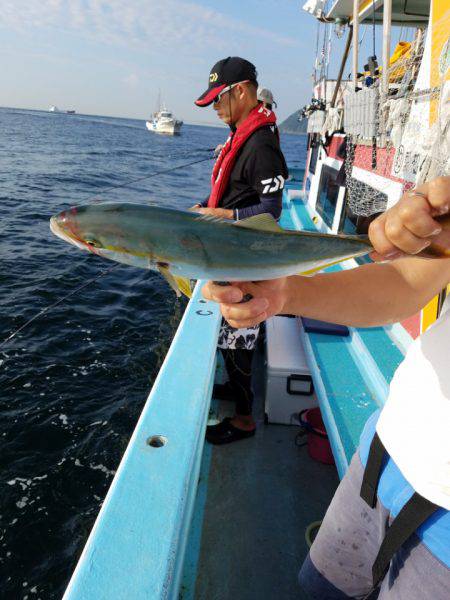 みやけ丸 釣果