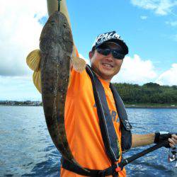 アマテラス 釣果