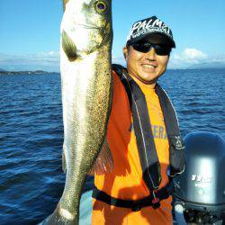 アマテラス 釣果