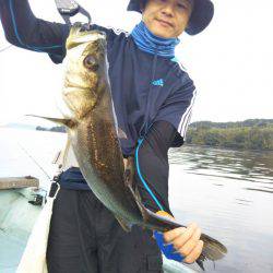 アマテラス 釣果