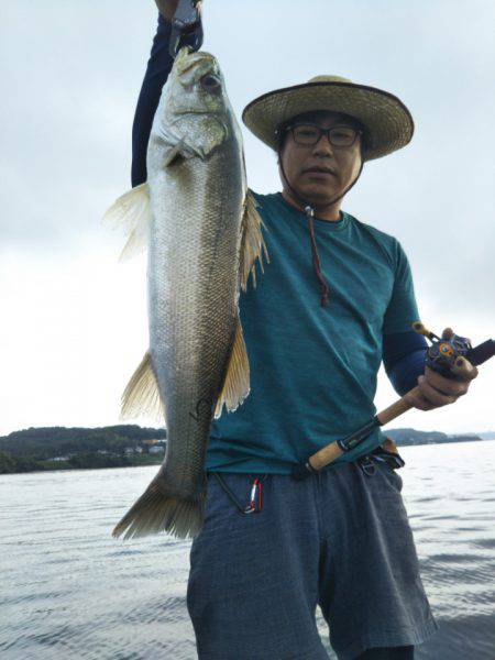 アマテラス 釣果