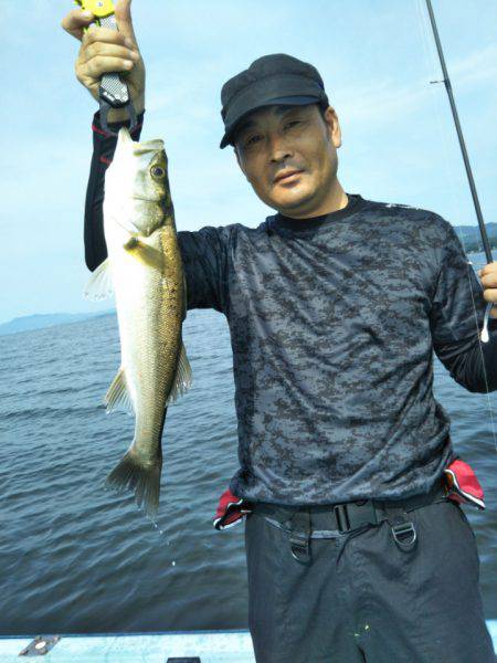 アマテラス 釣果