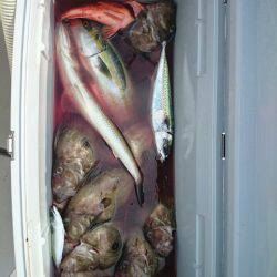 エンペラー 釣果