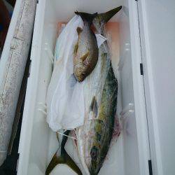 エンペラー 釣果