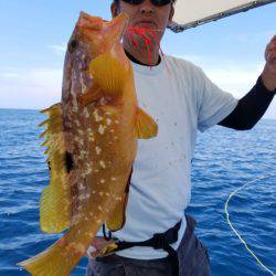 ソルトウォーターガイドフレンズ 釣果