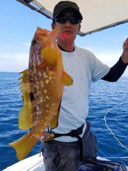 ソルトウォーターガイドフレンズ 釣果