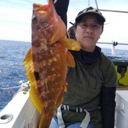 ソルトウォーターガイドフレンズ 釣果