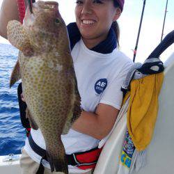 ソルトウォーターガイドフレンズ 釣果