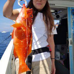 ソルトウォーターガイドフレンズ 釣果