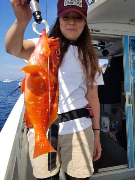 ソルトウォーターガイドフレンズ 釣果