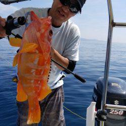 ソルトウォーターガイドフレンズ 釣果