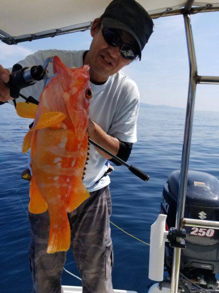 ソルトウォーターガイドフレンズ 釣果