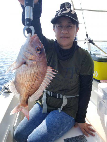 ソルトウォーターガイドフレンズ 釣果