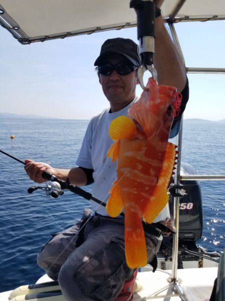 ソルトウォーターガイドフレンズ 釣果