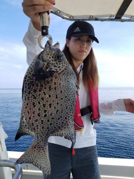 ソルトウォーターガイドフレンズ 釣果