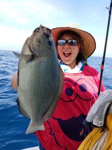 ソルトウォーターガイドフレンズ 釣果