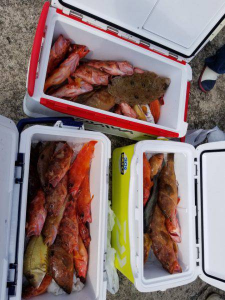 ソルトウォーターガイドフレンズ 釣果