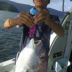 タイラバ遊漁船 ワンピース 釣果