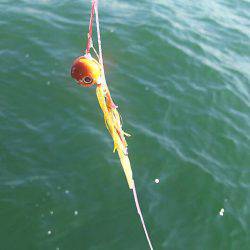 タイラバ遊漁船 ワンピース 釣果