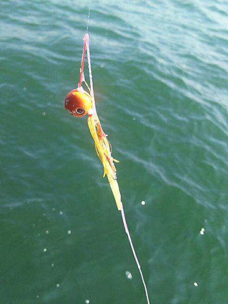 タイラバ遊漁船 ワンピース 釣果