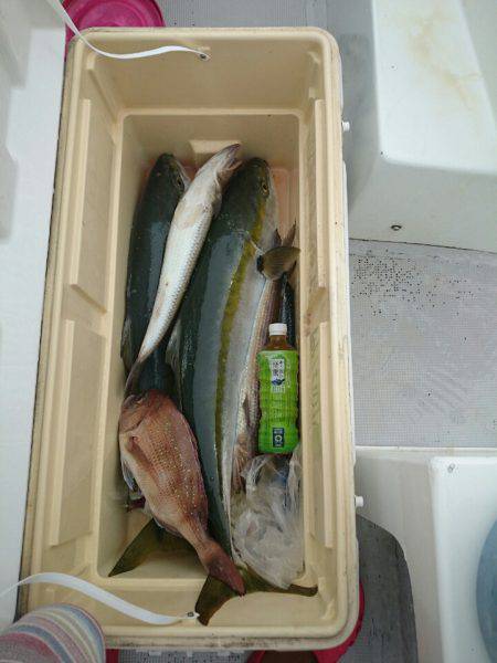 エンペラー 釣果