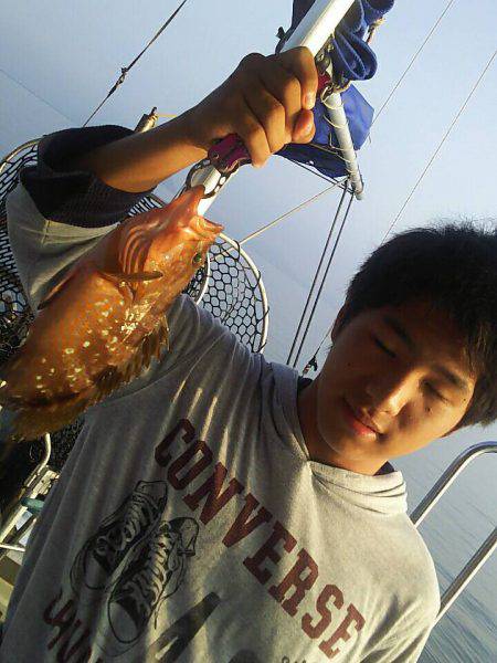 タイラバ遊漁船 ワンピース 釣果