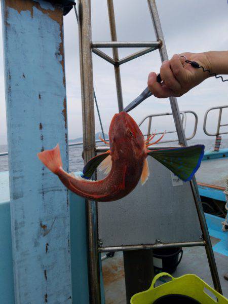 みやけ丸 釣果