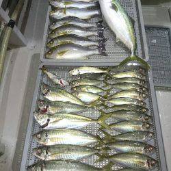 エンペラー 釣果