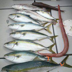 エンペラー 釣果