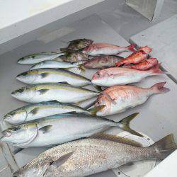 エンペラー 釣果