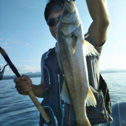 アマテラス 釣果