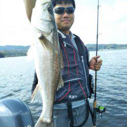 アマテラス 釣果