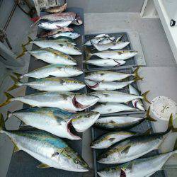 エンペラー 釣果